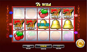 Total Testimonial of Wild Gambling Enterprise